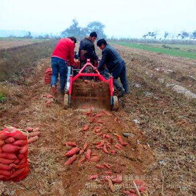 多功能洋芋收获机 润林河南土豆地瓜收货机 现货批发