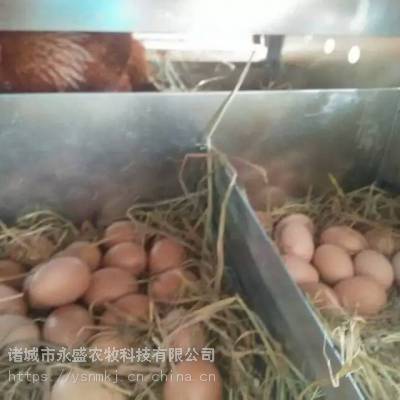 肉种鸡产蛋箱 12穴种蛋集蛋箱 人工捡蛋鸡产蛋箱