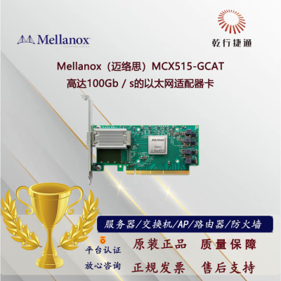 Mellanox（迈络思）MCX515-GCAT 高达100Gb / s的以太网适配器卡