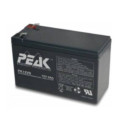 法国PEAK蓄电池PK12V9 12V9AH仪器 UPS/EPS电源配套