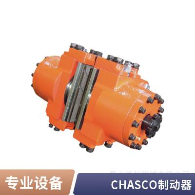 CHASCOƶʧѹƶϵͳ***DB-2021BK-2.1/8R͸