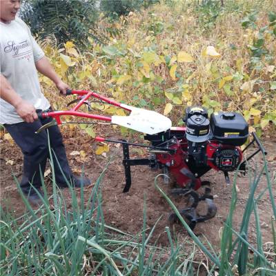 合作社整地微耕机 175水冷柴油微耕机 圣鲁牌风冷柴油微耕机