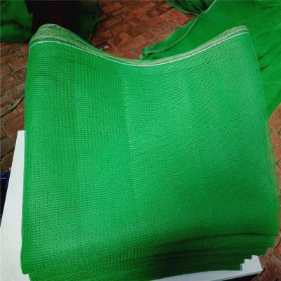 工地覆盖绿网子 煤场防尘网 大棚遮阳网