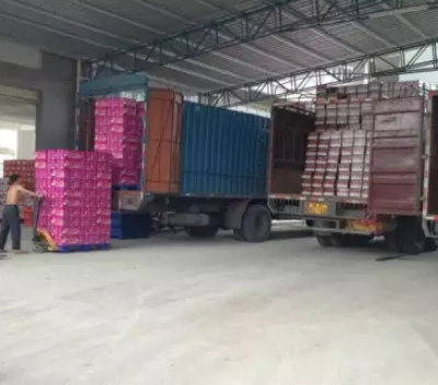 静安区越南线价格查询 服务为先 上海沃世国际货运代理供应