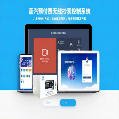 蒸汽抄表系统 STR-WEB 智慧供热分户计量-多型号可选