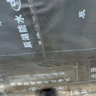 滨海新区楼顶防水维修 铺油毡 精准防水 高空注浆滴水不漏 辰湖得胜