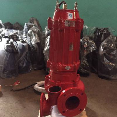 WQR耐高温排污泵耐高温腐蚀化污水泵耐高温水泵