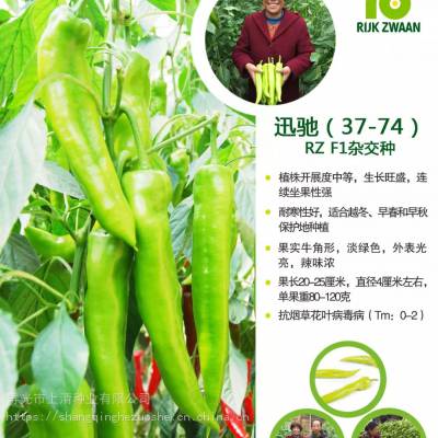 供应瑞克斯旺迅驰37-74 尖椒陇椒37-94种子夏之光冬之光产品特性辣椒