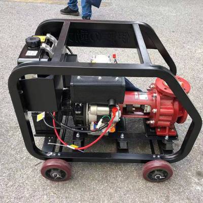 柴油机水泵 移动式柴油机自吸式化工泵 不锈钢***排水泵