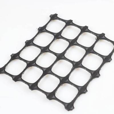 广西塑料平网厂 ***土工格栅 养殖塑料网围栏