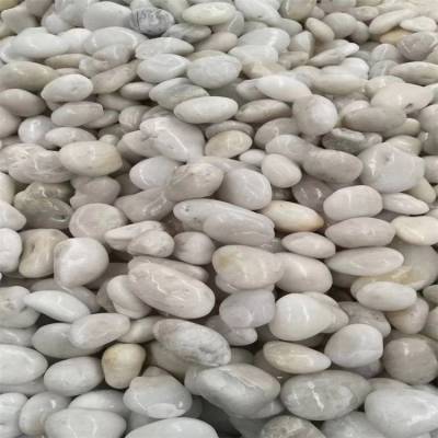 湛江公园铺路纯黑鹅卵石***