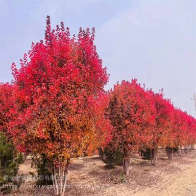  8ֺں,10-12ִ
