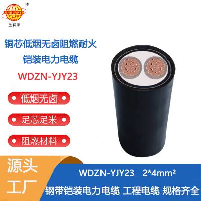 金环宇电线电缆 WDZN-YJY23-2X4平方 铠装耐火电缆 低烟无卤电力电缆