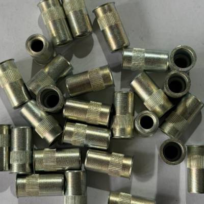 上海CLUFIX铆螺母C50LR-BR 服务为先 上海沃顿供应