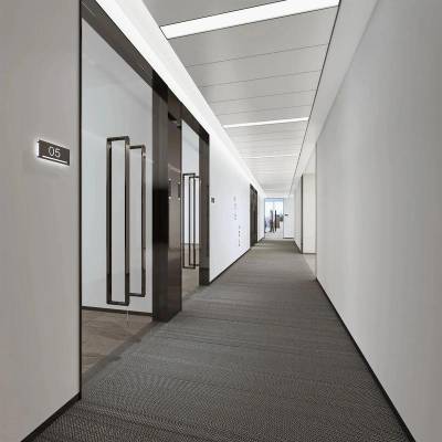 蜥龙 韧釉漆 抗菌防霉自洁涂料 防水耐酸碱耐擦洗