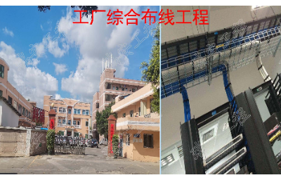 广东惠州大厦机房线路整治 客户至上 东莞市瑞安网络工程供应