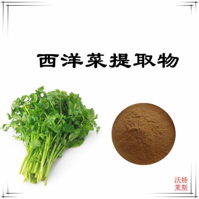 西洋菜提取物10：1 浸膏粉 沃特莱斯生物 植物萃取 水溶