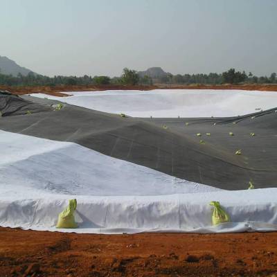莘县土工膜蓄水池hdpe土工膜鱼塘防渗膜
