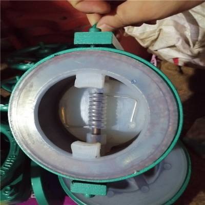ķֹط H76F46-16C DN300 ֳPTFE˫ֹط