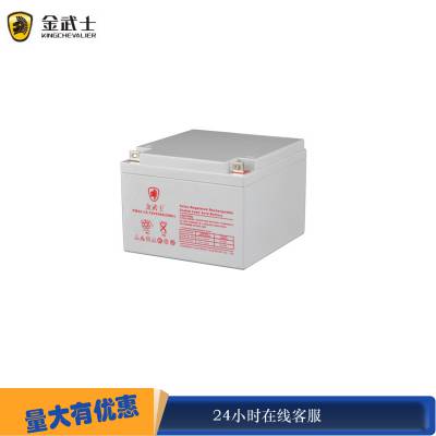 金武士PH12V24AH阀控式密封铅酸蓄电池PH24-12 直流屏UPS电源用