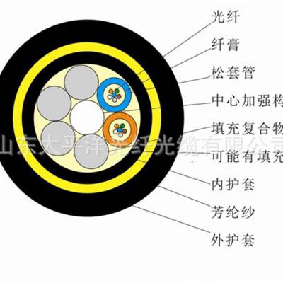 【太平洋】ADSS光缆 电力光缆 自承式光缆 48芯单模 PE 100米