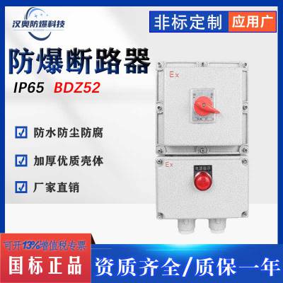 定制BDZ52防爆断路器2P3P4P漏电开关箱220V380V三相电控制箱