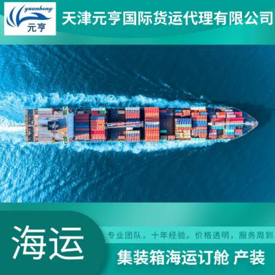 天津港货运代理公司全航线出口订舱海运整柜拼箱