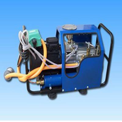 lb-7x10电水压泵属于柱塞泵