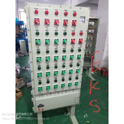 BXMD51-10KϽ䳧