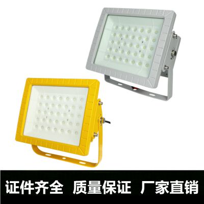 BZD118ά̼LED100W