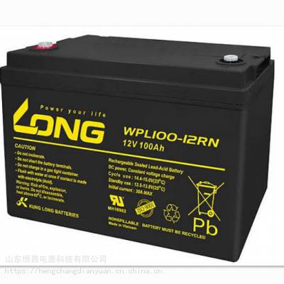 LONG¡WPL100-12N Ǧά12V100AH Դ UPSӦ