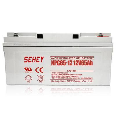  NPG80-12 SEHEYǦά12V80AH UPSԴ