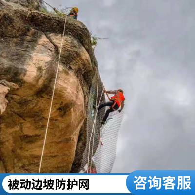 被动山坡加固缠绕网边坡防护网 山体柔性SNS金属网 诺拓定制