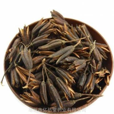 八里麻药用用法及用量 天芝麻药用有什么药效