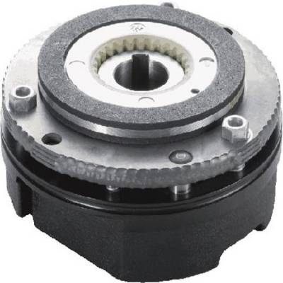 ¹INTORQ״ĵƶͺţBFK458-20N-180V-260NMȨ