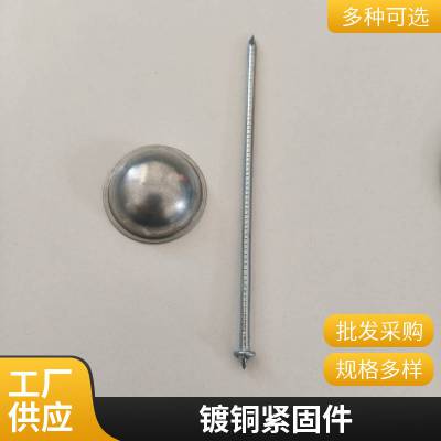 船用 镀铜碰钉厂 船体用盖帽 防腐防潮 型号可选