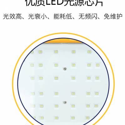 CCD98̑B(ti)So(h)LEDúﻯSվʯͷL(zhng) ͺ