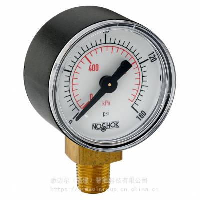 NOSHOKѹ15-100-200-psi/kg/cm2