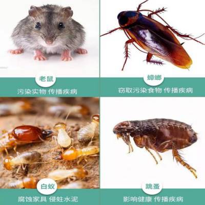 󡢼ͥ***𳲳ϡ롢Ӭ
