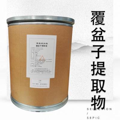 覆盆子提取物 覆盆子酮98% 果粉果蔬粉 多糖 浸膏