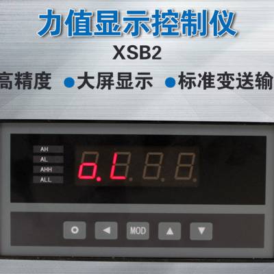 供应XSB2力值数显表 张力拉力控制仪表 称重测量仪表485通讯 MV信号0.2%