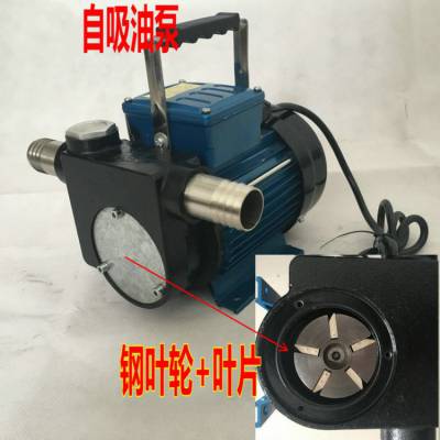 12v24v220v伏抽油泵 防爆汽油甲醇柴油 电动小型大功率自吸静音油泵