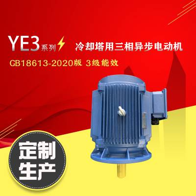 冷却塔防水电动机YE2-280M-6-55KW户外用马达立式排水电机