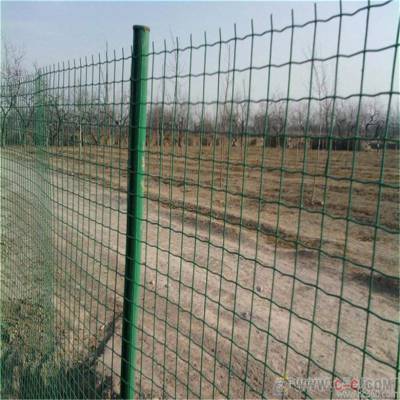 四川圈地围栏网 养殖围栏网 养鸡专.用铁丝网