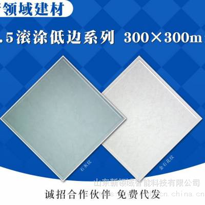Ӧ۰ƷƬƬĹͿװ300*300