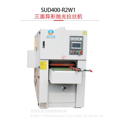 pSUD400-R2W1殐νْzC