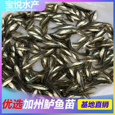 籨ѡ ֳ