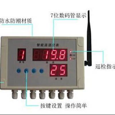 温湿度采集仪/智能温湿度表（含一个温度探头，一个湿度探头） 型号:HJ031-WSD-4