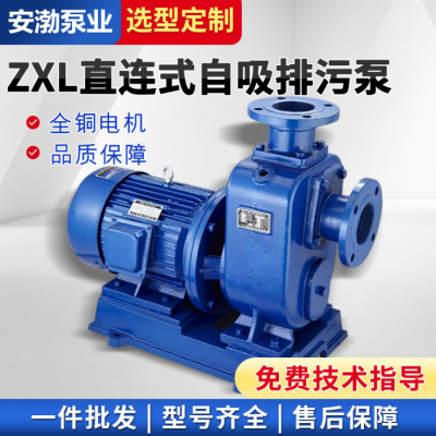 250ZXL400-75卧式自吸泵 直联式清水自吸泵 灌溉泵