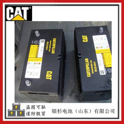 CAT153-5656ʽװػ216B12V-52AH/650CCA